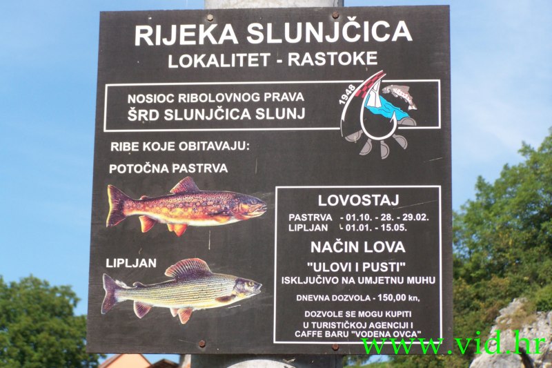 Letovanic (74)